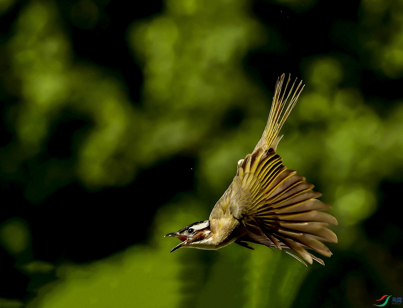DSC_8604.JPG