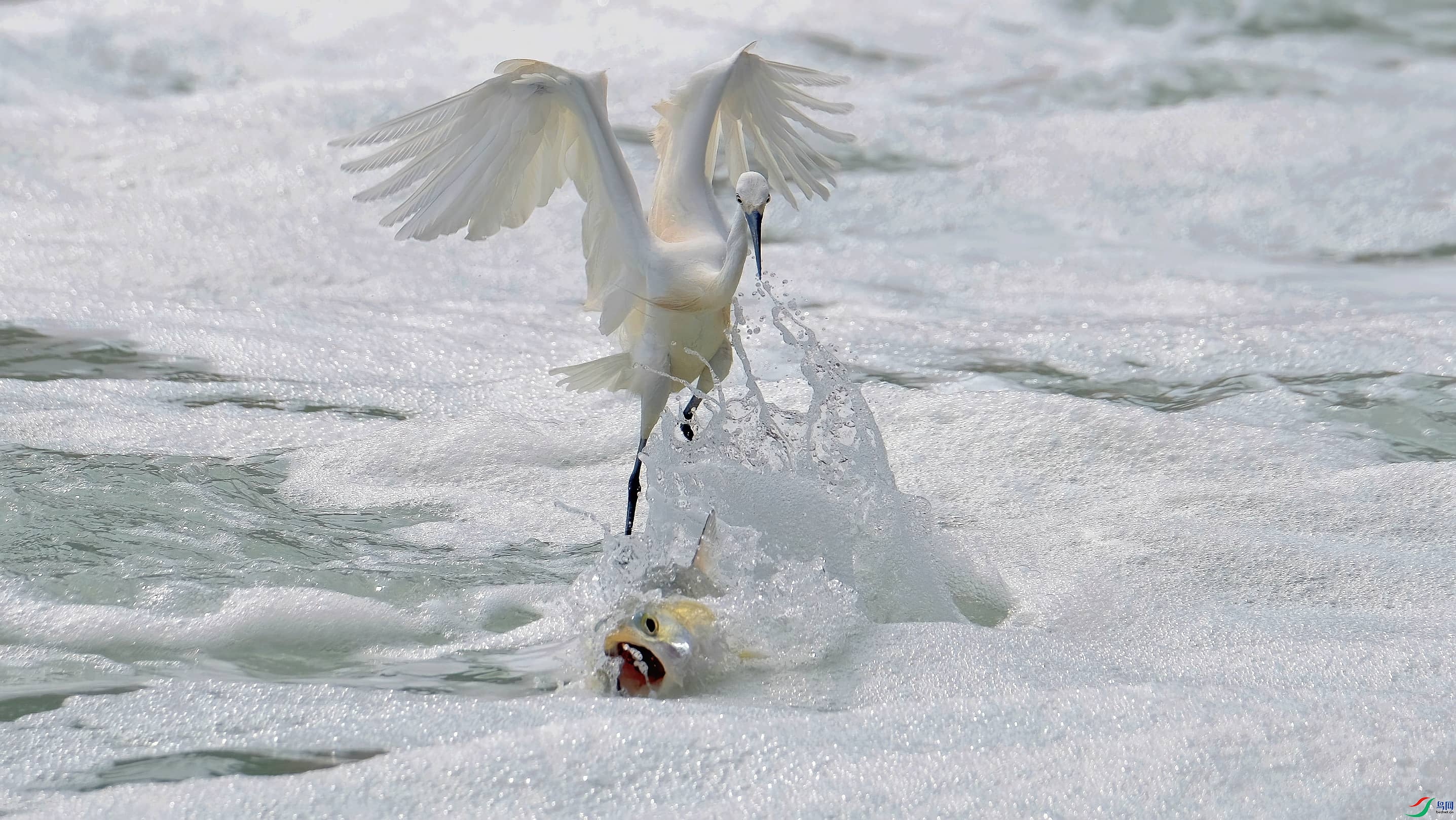 DSCF2945_����_����_����-DeNoiseAI-denoise (1).jpg