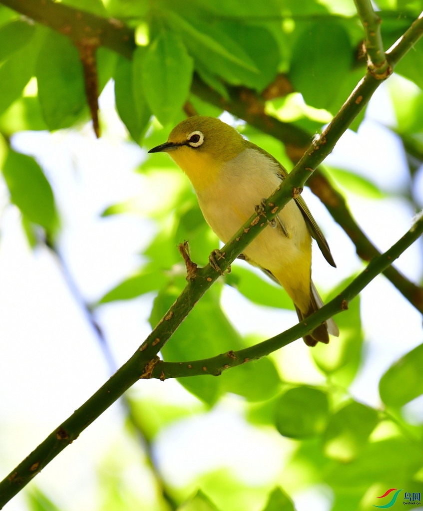 DSC_7217.JPG
