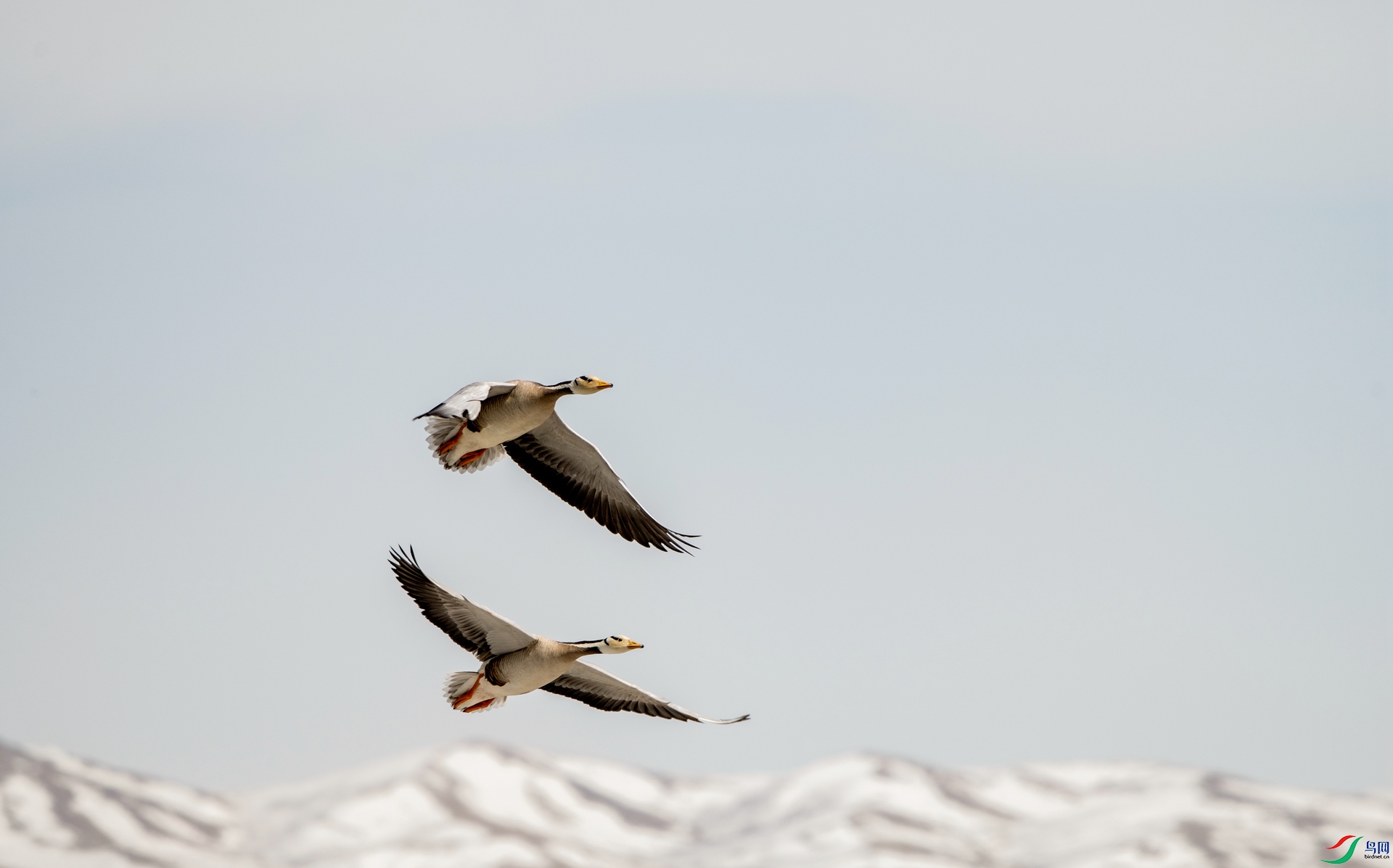 _DSC4675_����.jpg