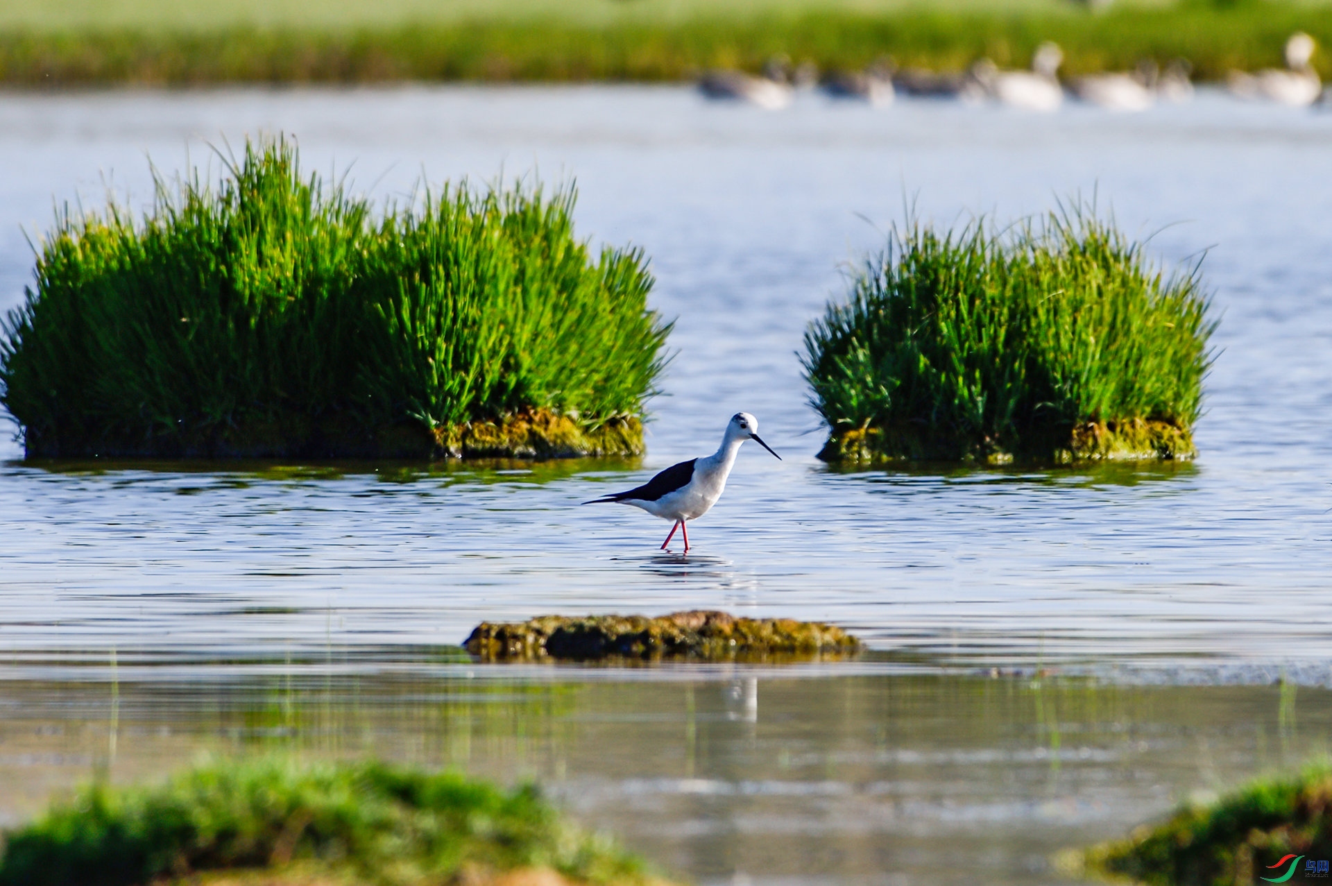 _DSC5999_����.jpg