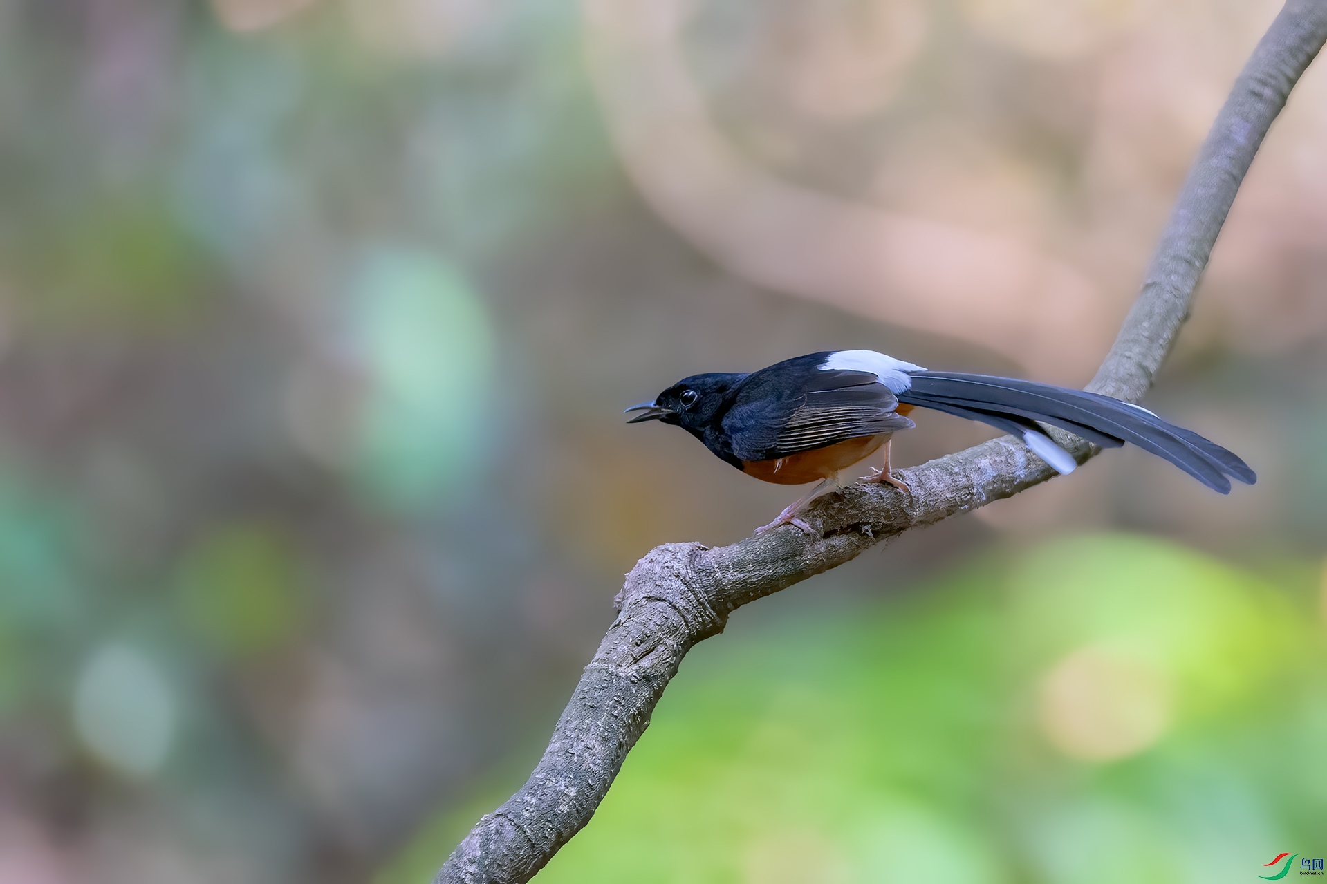 _DSC6516.jpg