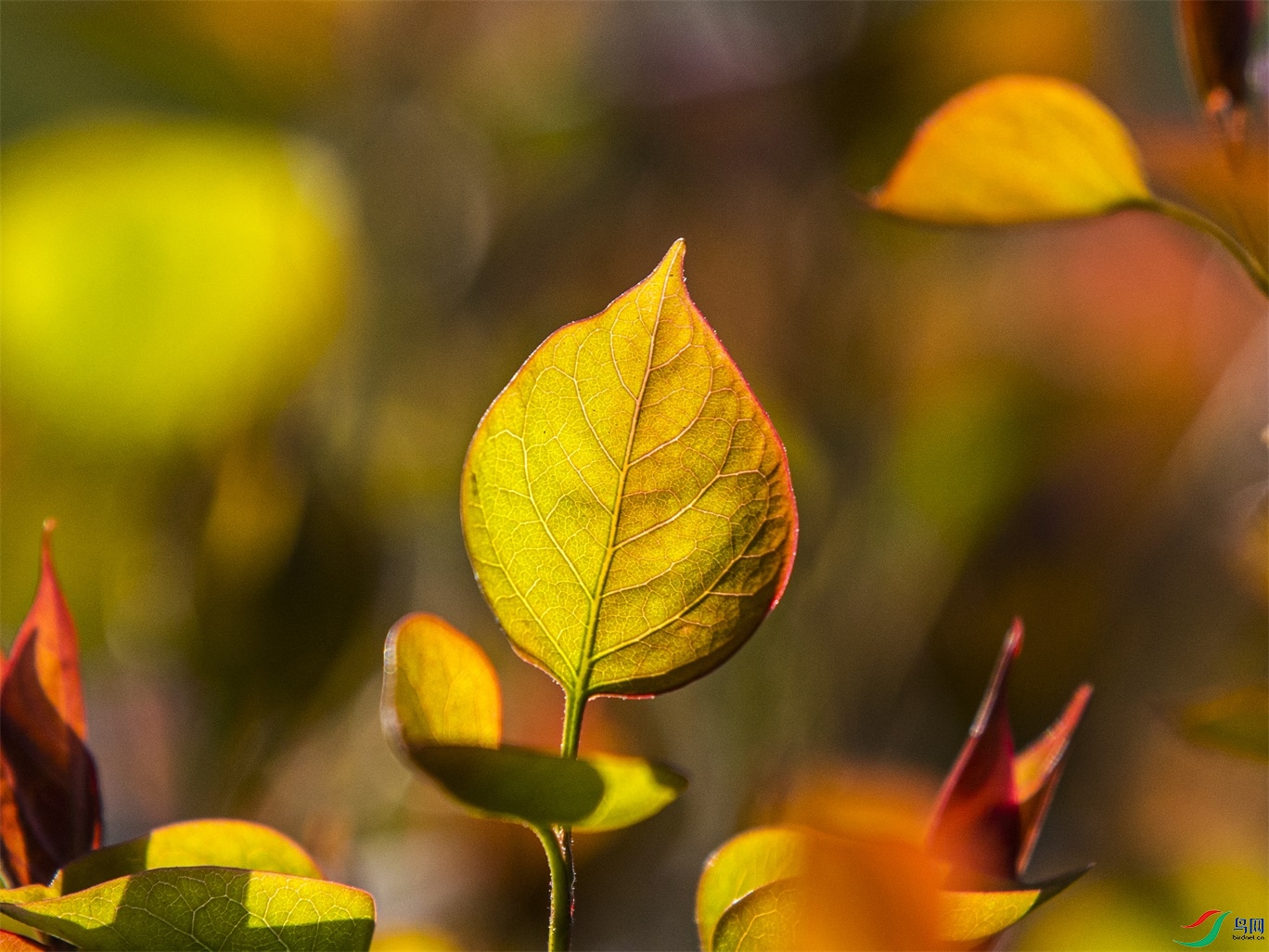 020 ����1.jpg