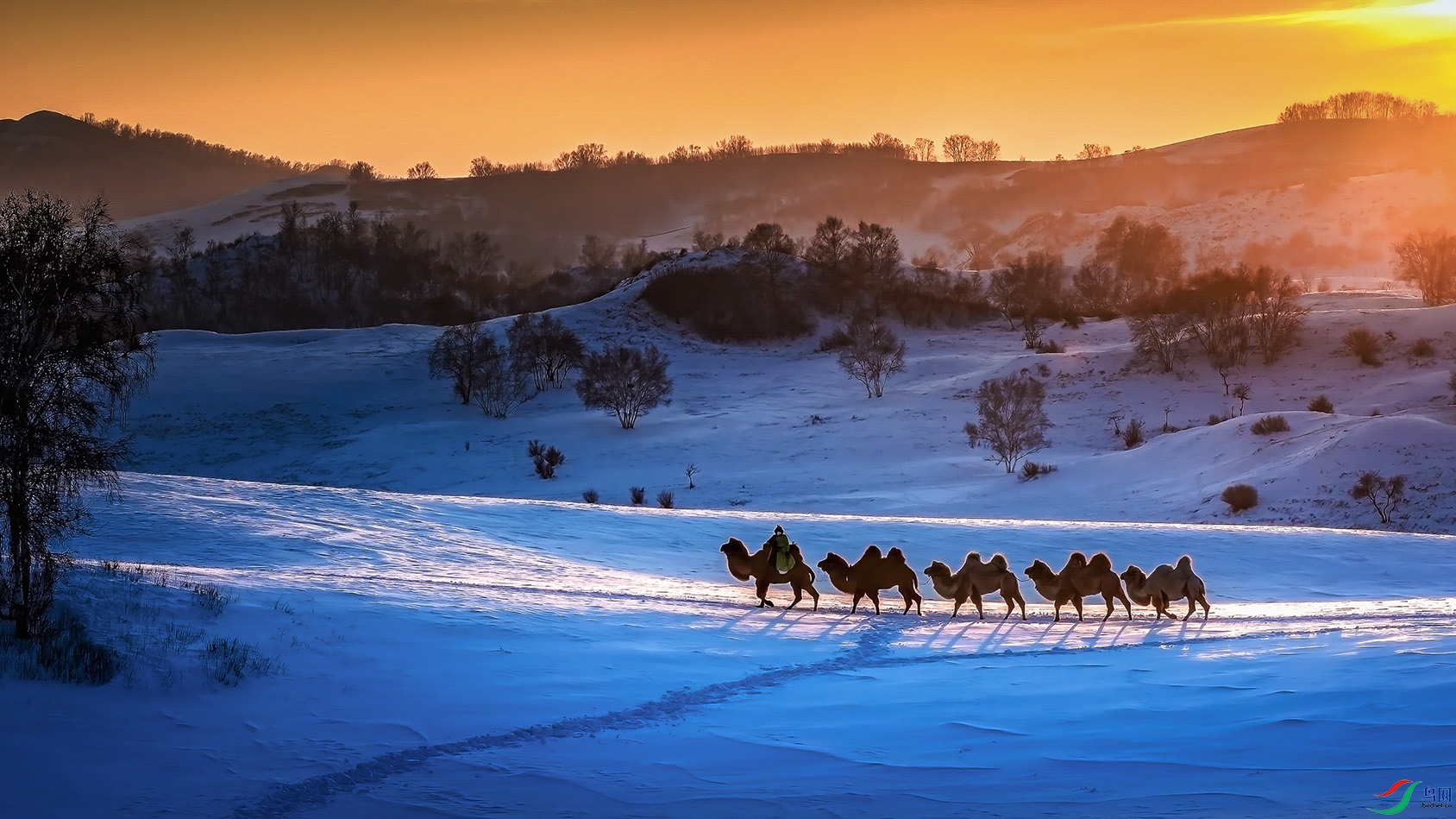 ���������ɹ�������ͳ��