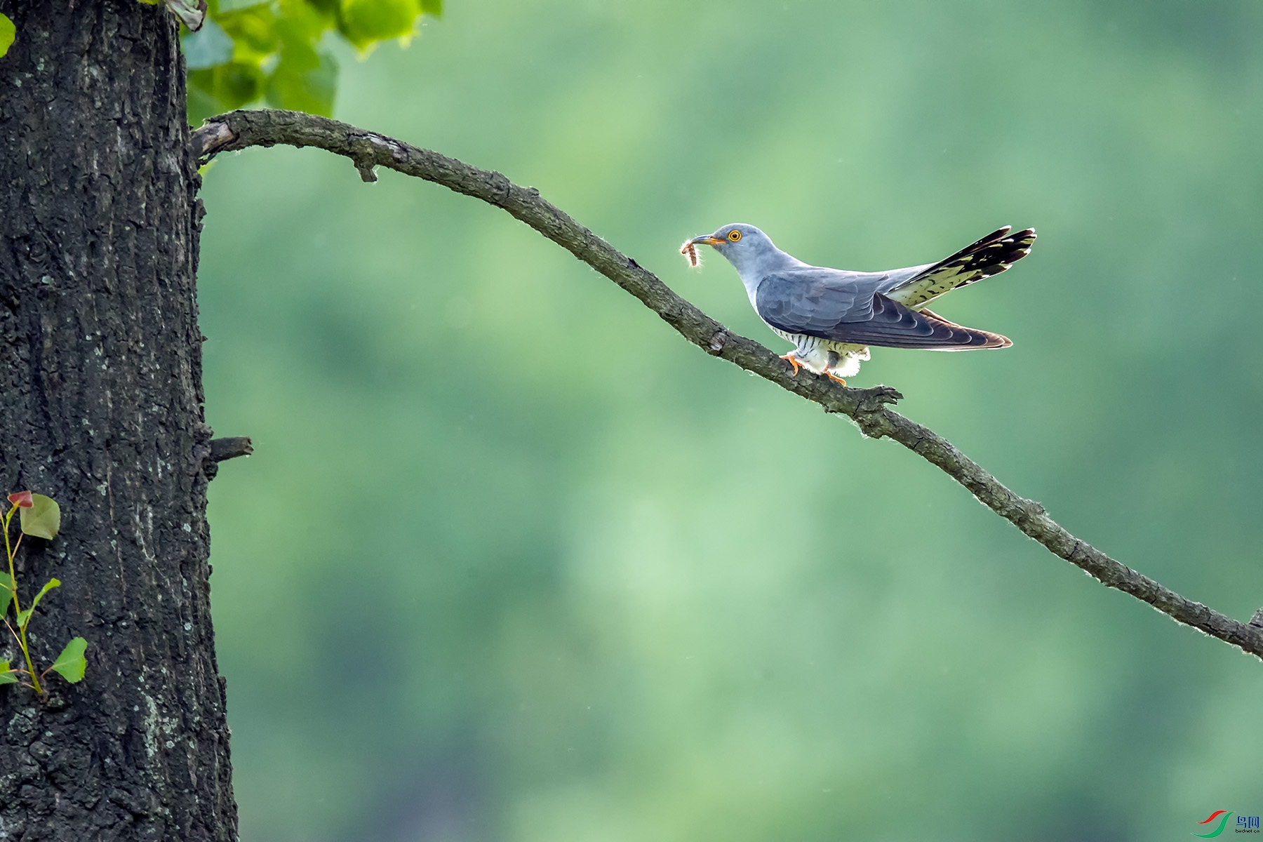 _U5I7797.jpg