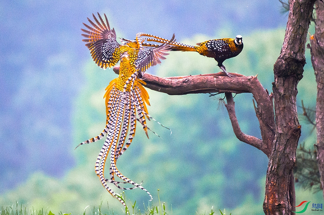 ��DSC_7002.jpg
