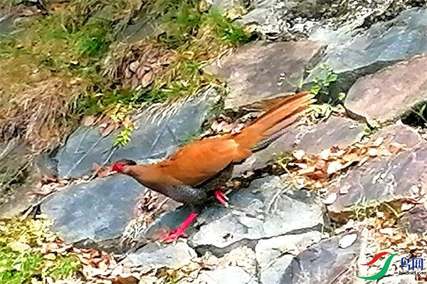 ΢��ͼƬ_20220505120812 - ����.jpg