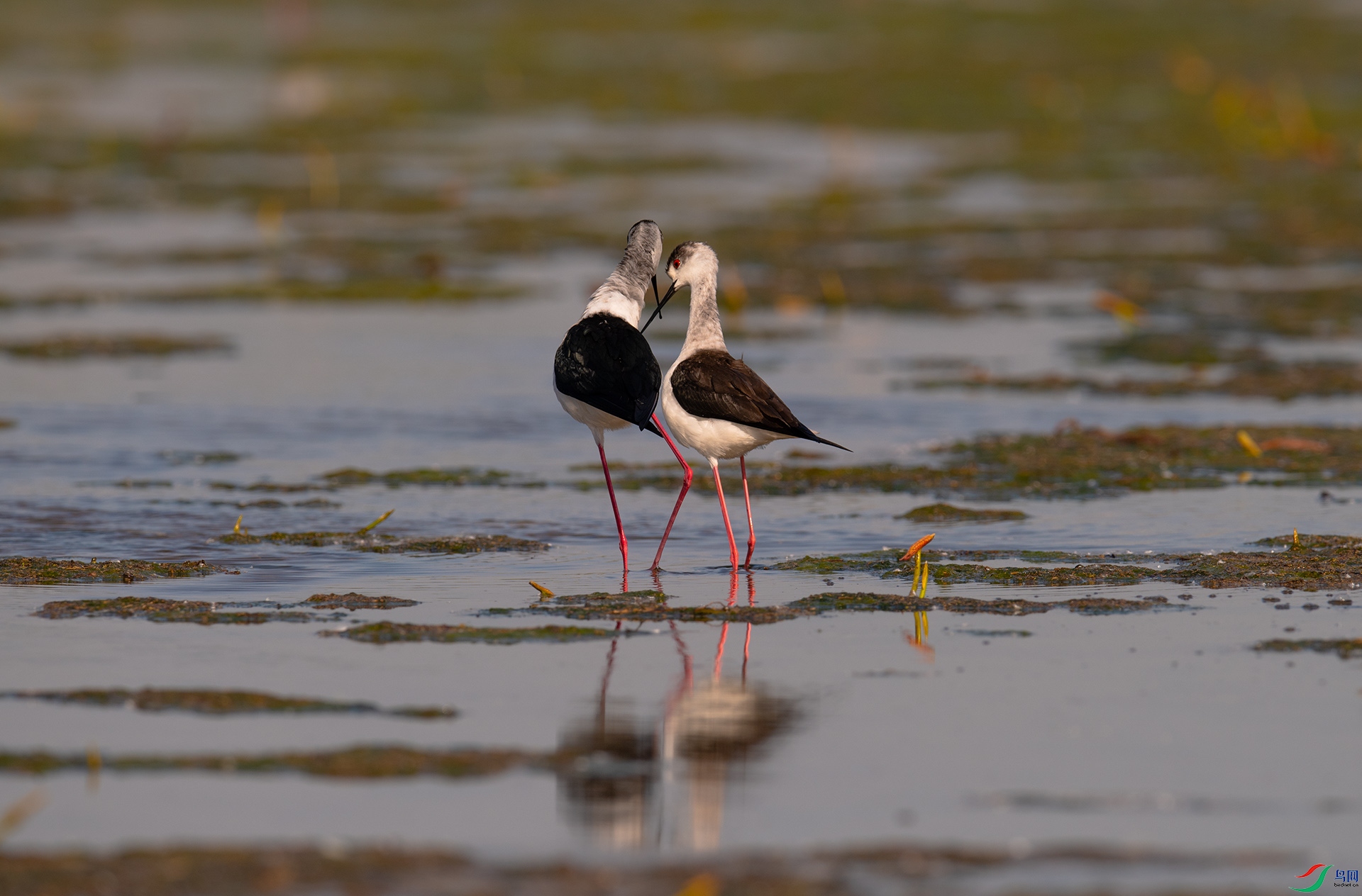 XQD_8043�ڳ᳤����.jpg