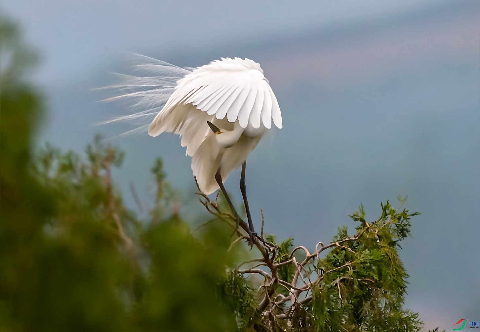 _O1I1765 ����.jpg