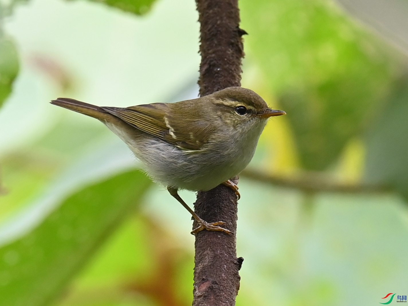 DSC_0984.JPG