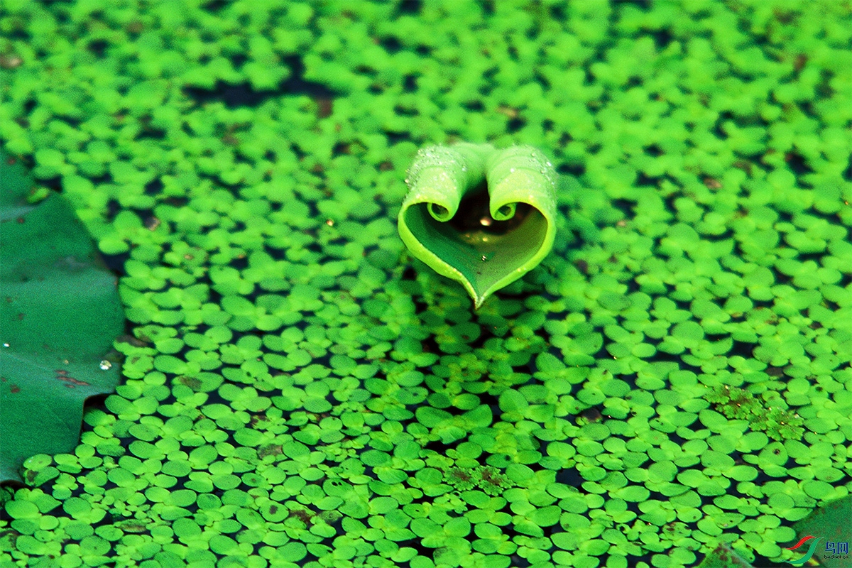 �� �ɡ���05.jpg