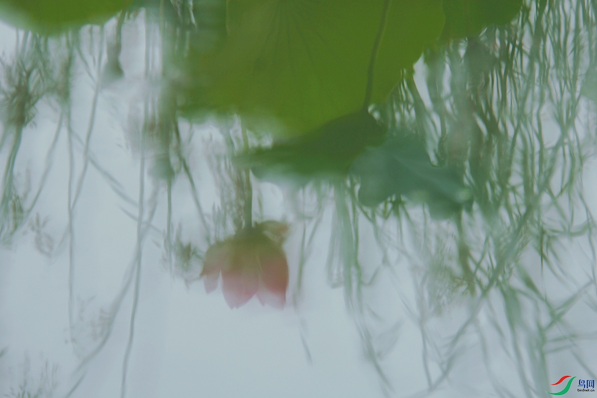 �� �ɡ���03.jpg