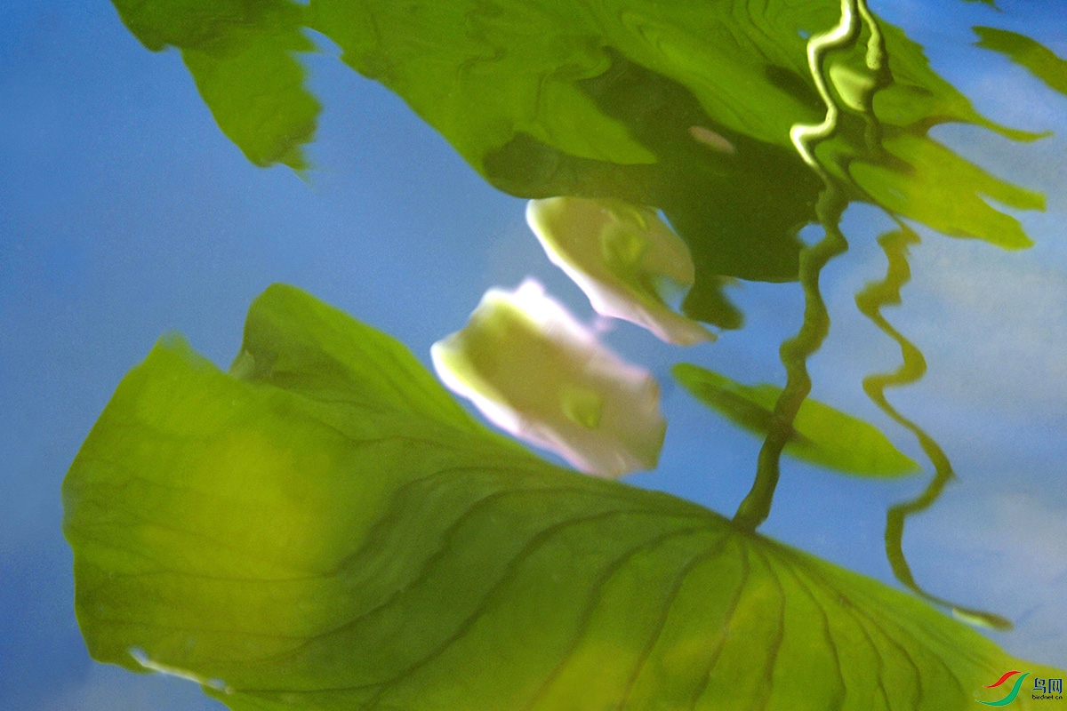 �� �ɡ���04.jpg