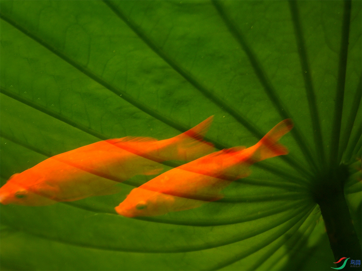 �� �ɡ���09.jpg