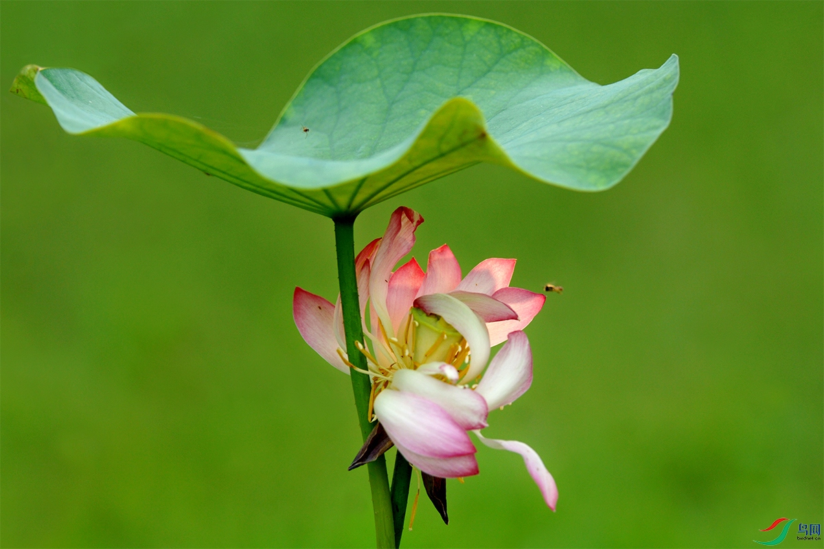 �� �ɡ���06.jpg