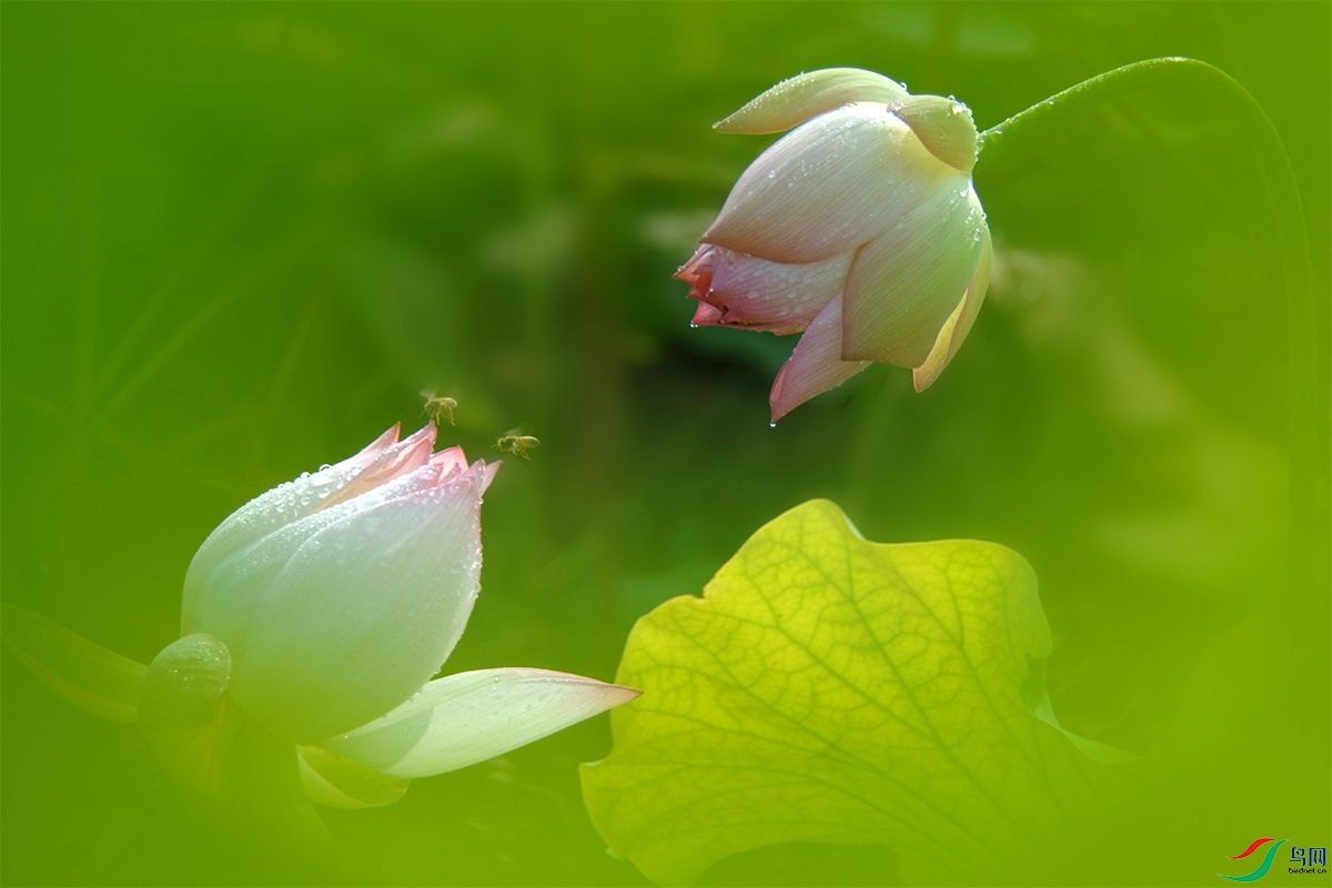 �� �ɡ���08.jpg