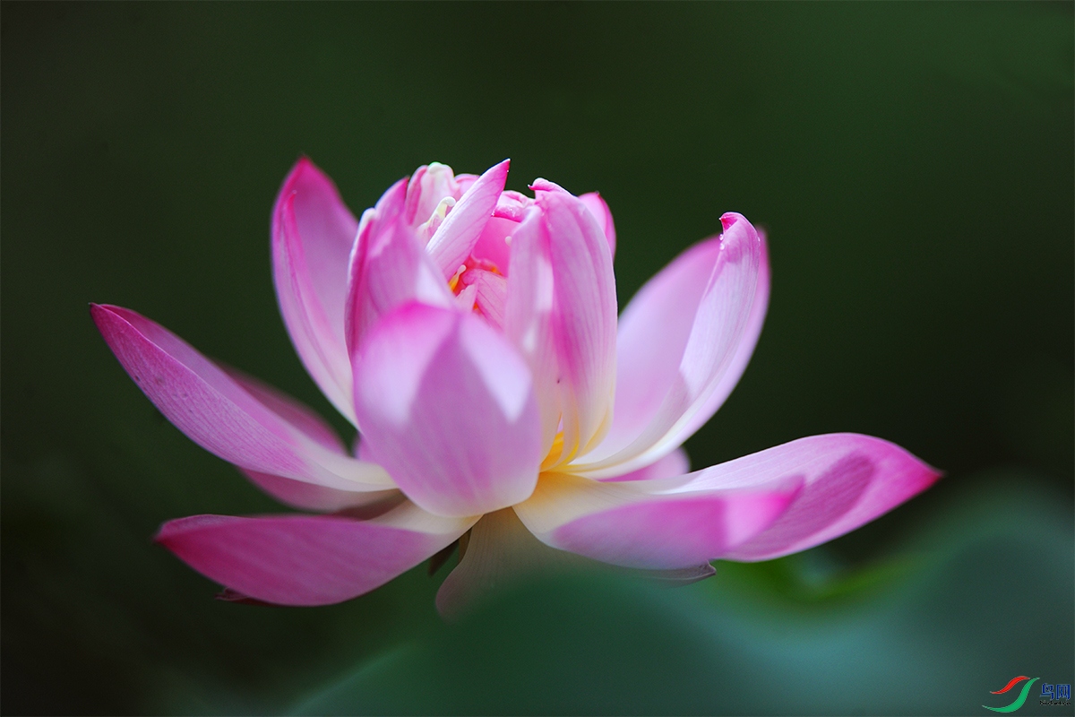 �� �ɡ���11.jpg