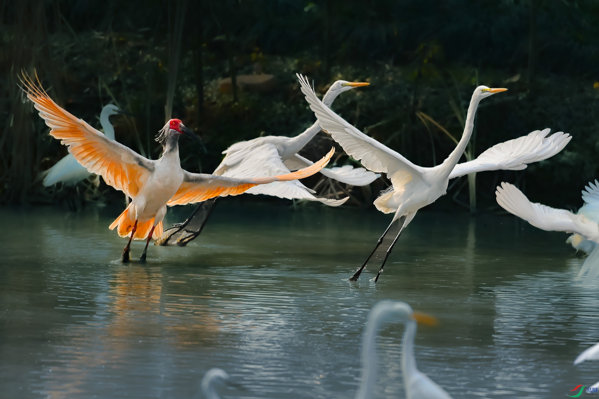 DSC_7591.jpg