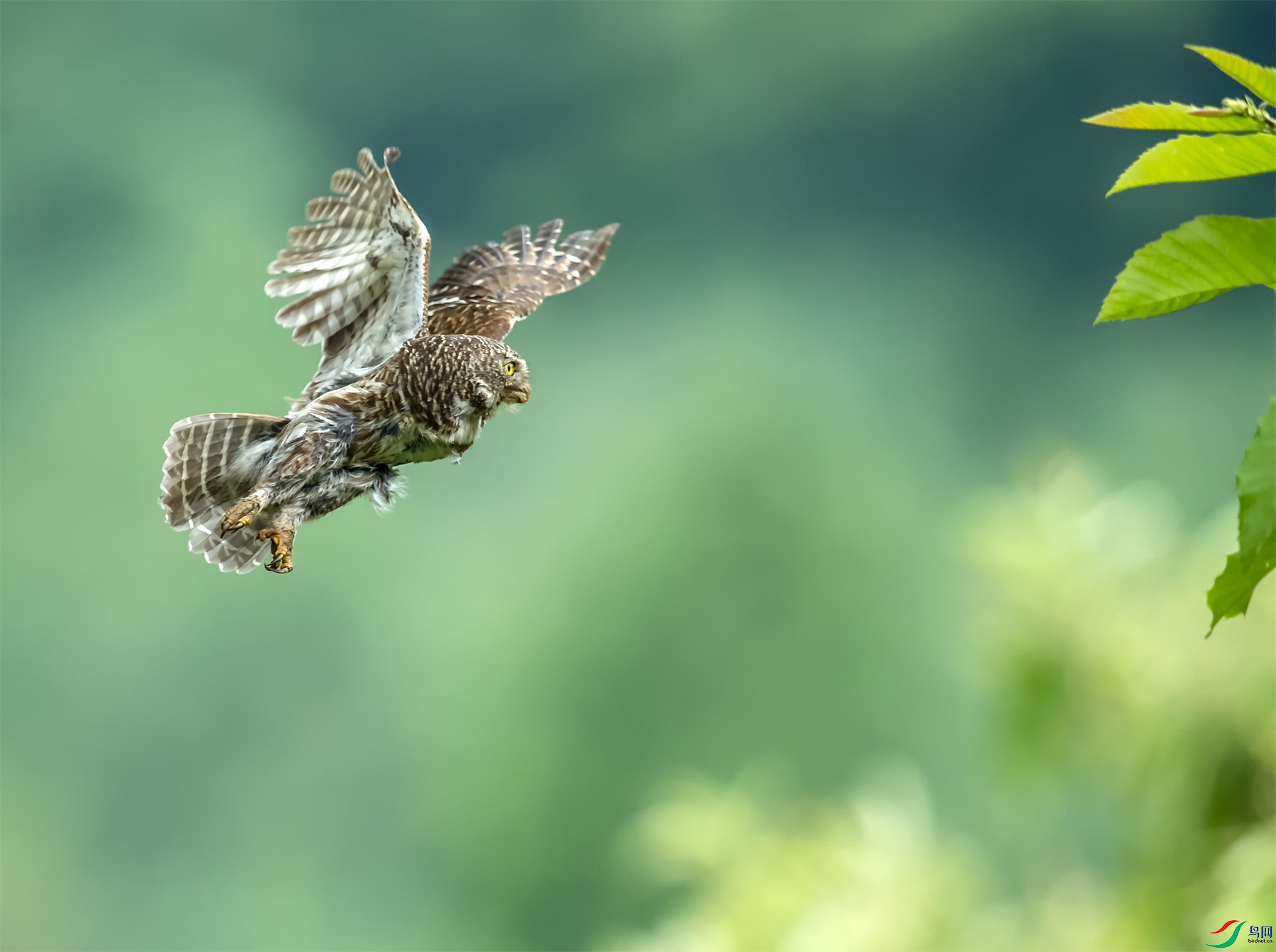 _U5I1121.jpg