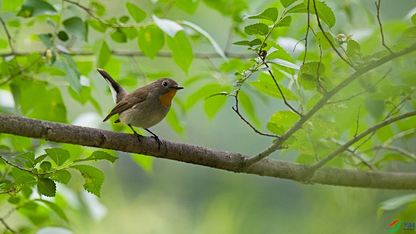 DSC_5193 - ����.jpg