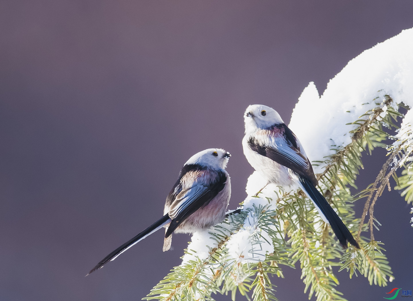 ����һ��