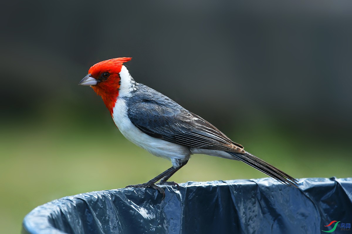 DSC_8113_.jpg