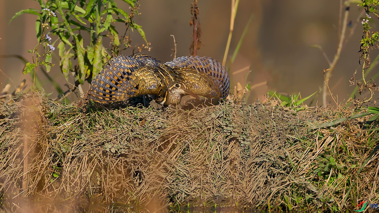 _D3P1657 - ����.jpg