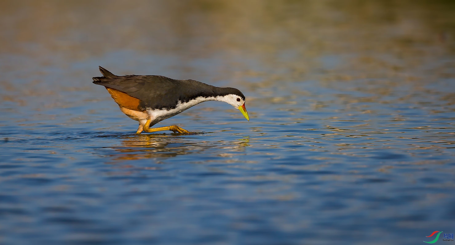 _D3P1479 - ����.jpg