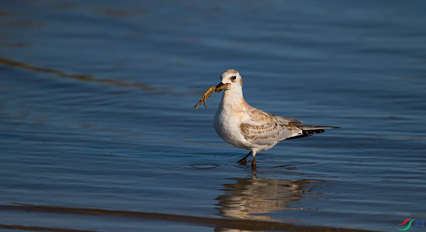 _F2I6894 - ����.jpg