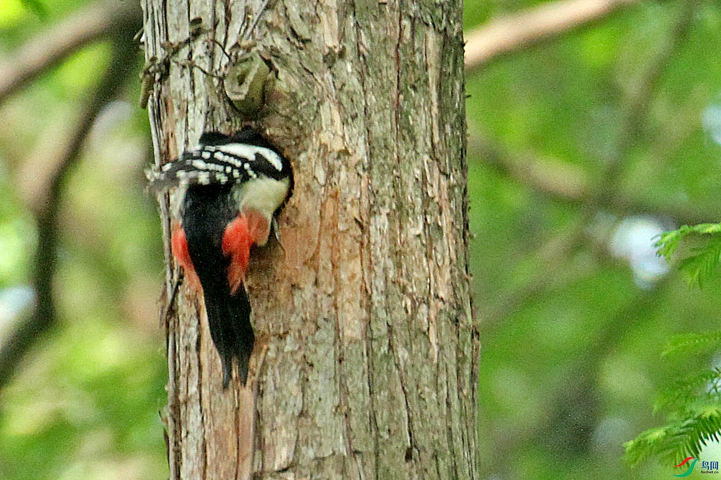 IMG_0838.jpg