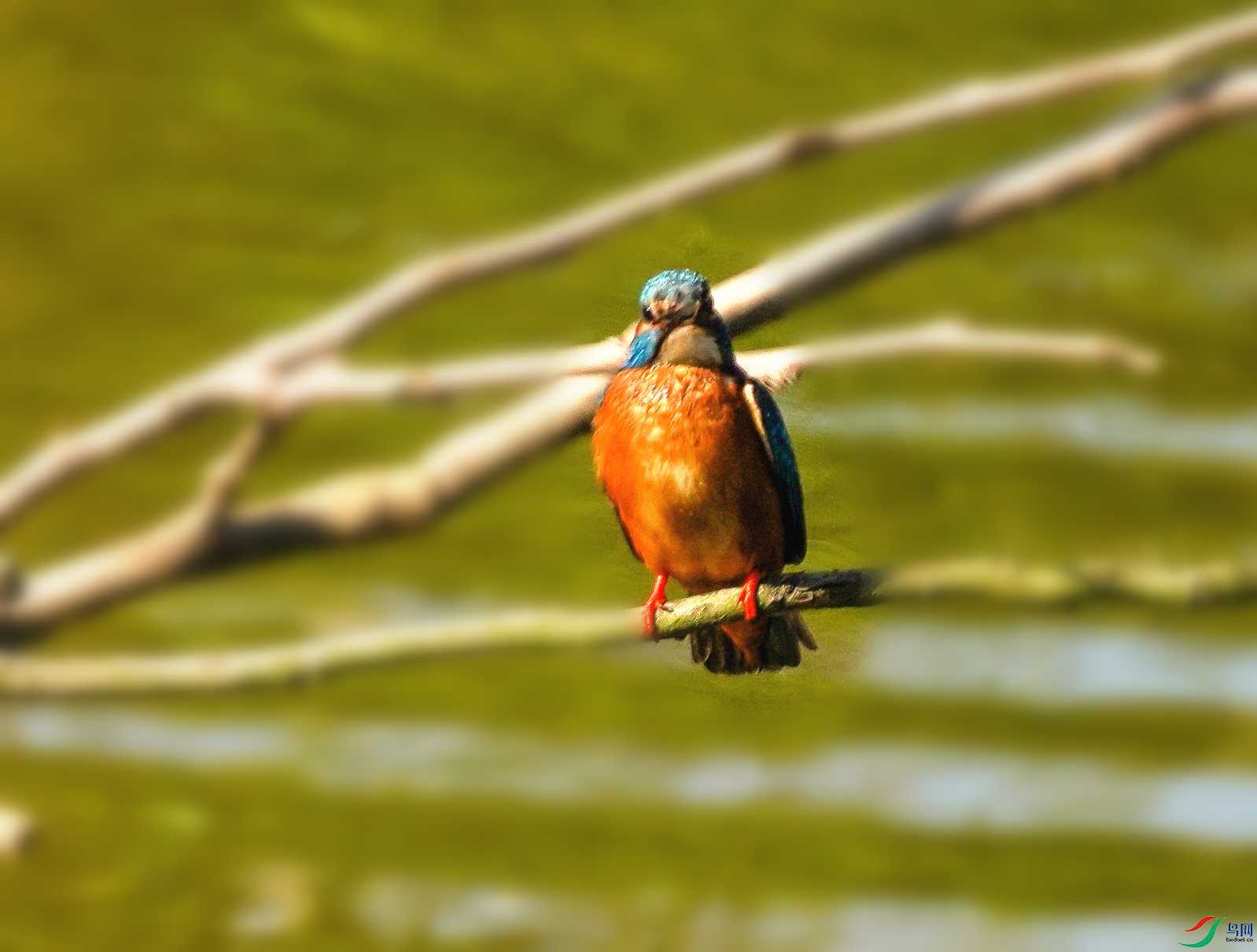 023DSC00940_1_����.jpg