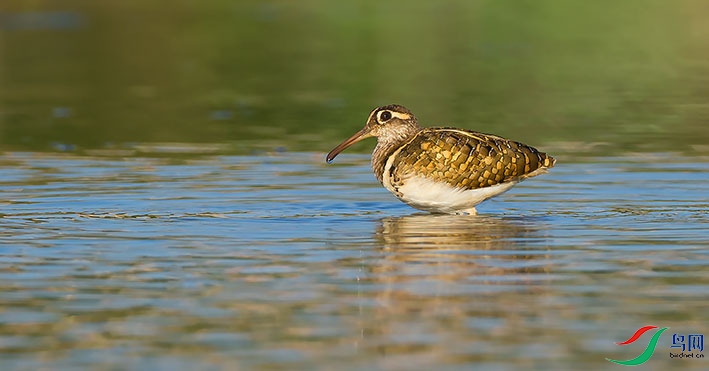 _D3P1762---���� - ����.jpg