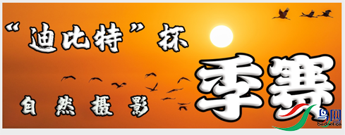 ��Ļ��ͼ 2022-05-06 164901.png