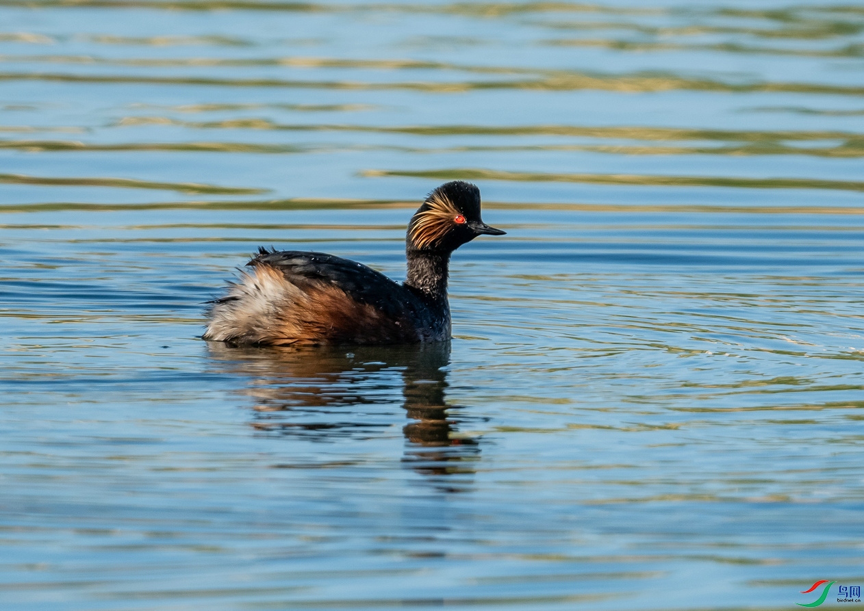 DSC_1327.jpg
