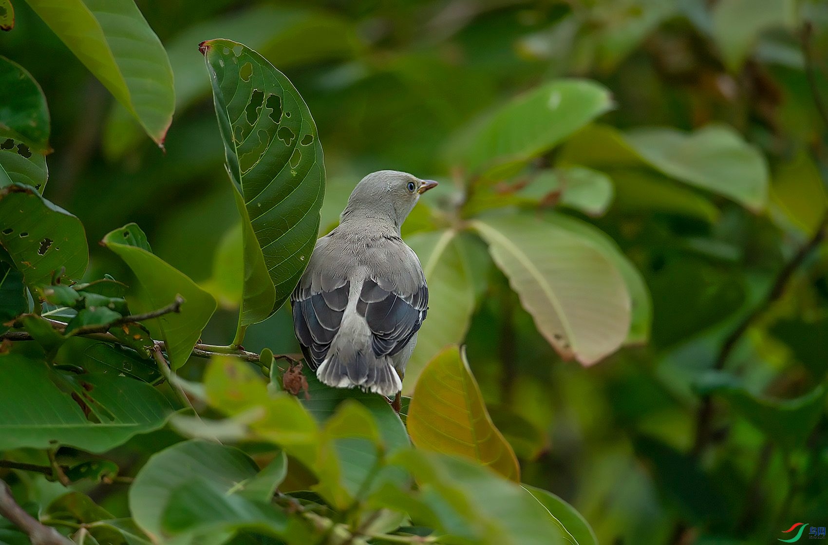 DSC_1779.jpg