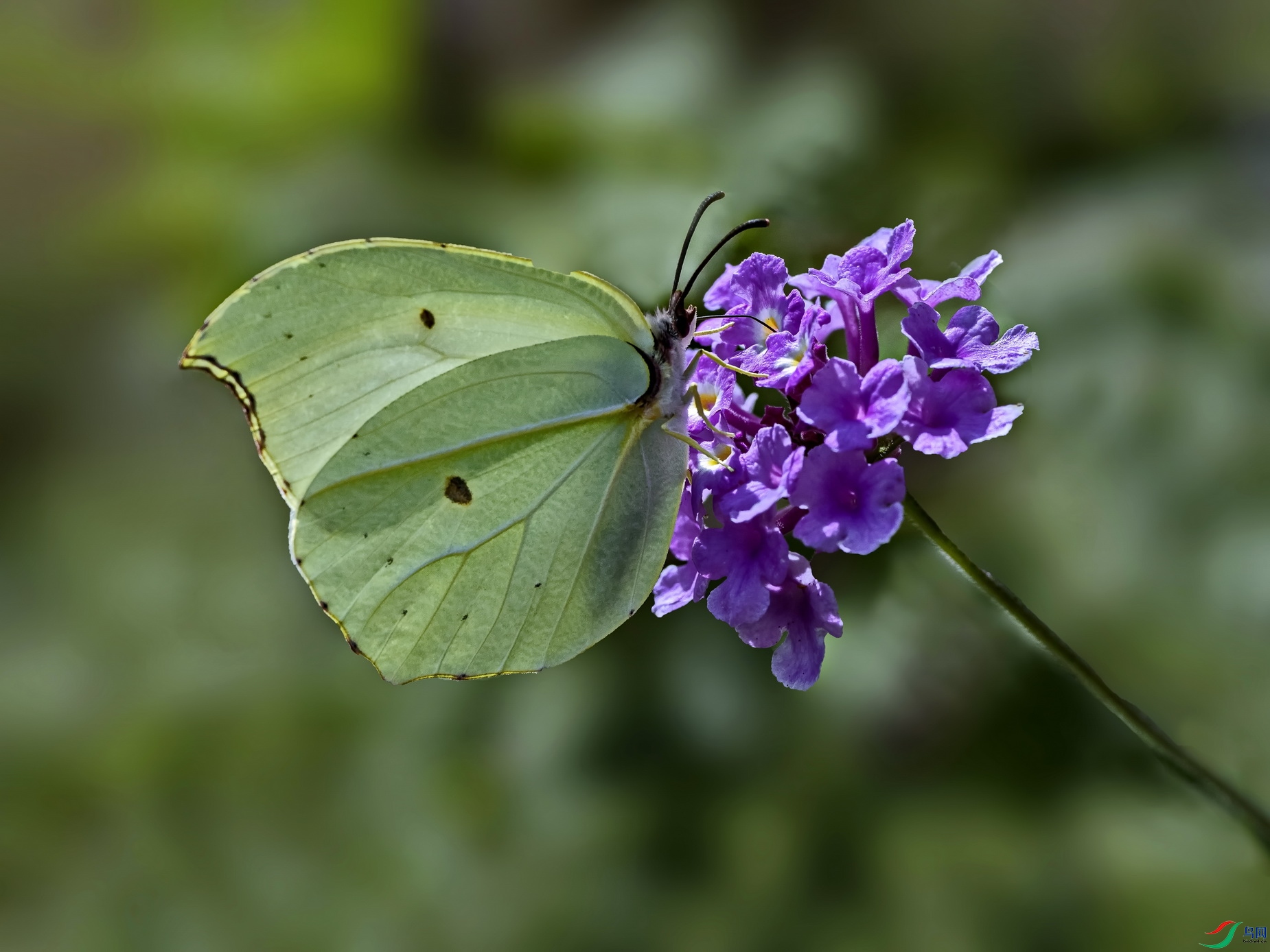 Բ�ṳ�۵� -01jpg.jpg