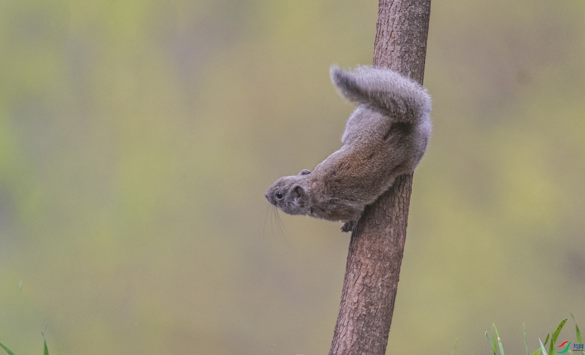 DSC_3621.jpg