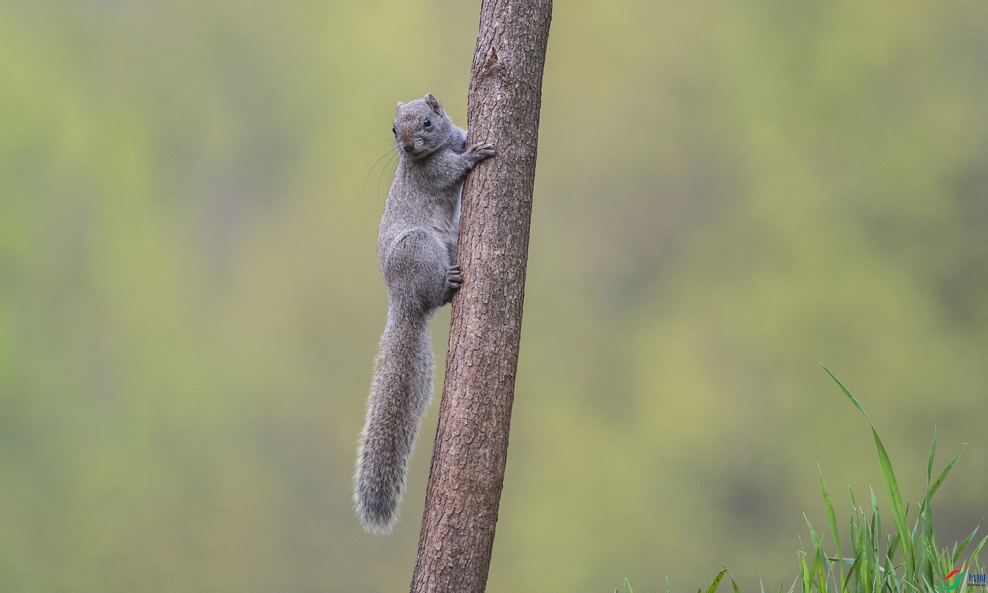 DSC_3674.jpg