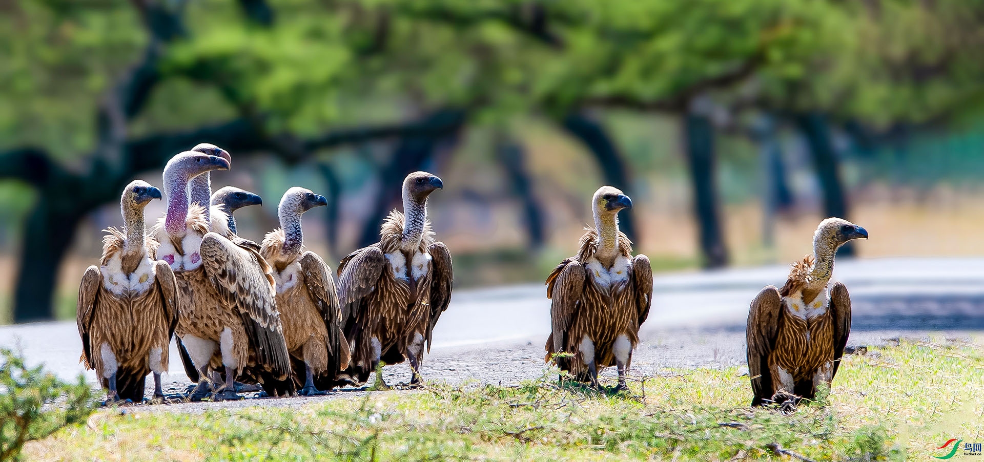 �ڰ�ͺ�� ����.jpg