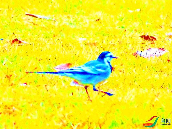 DSC00331.JPG
