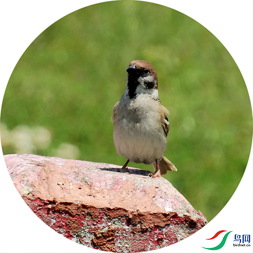 380 (265)_����.png