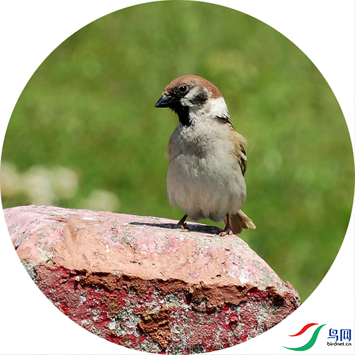 380 (266)_����.png