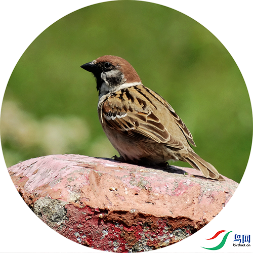 380 (268)_����.png