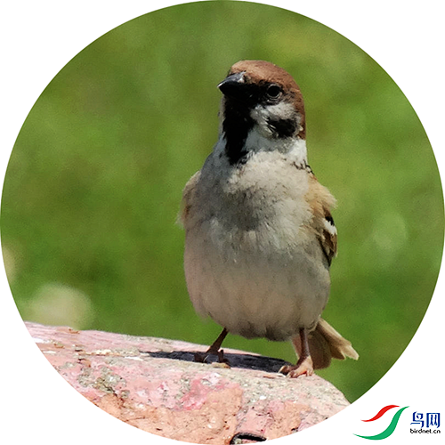 380 (269)_����.png