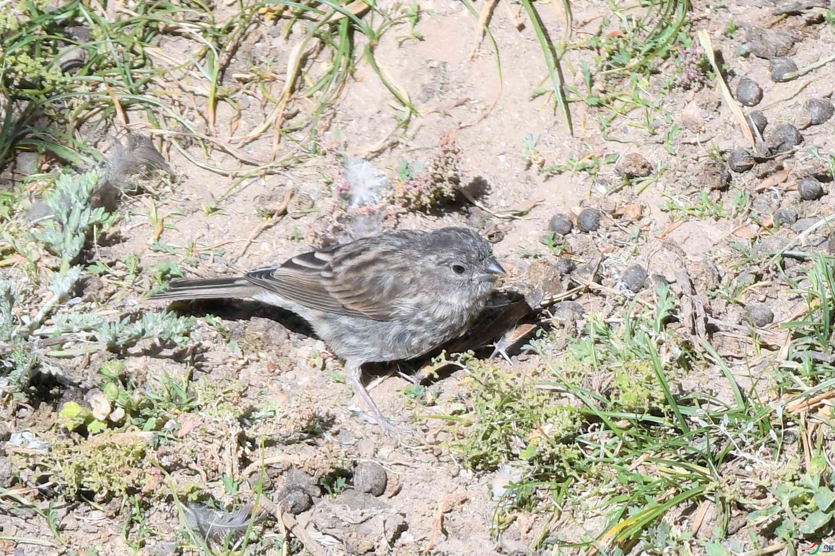 ����ȸ ������ɫ�� (2).JPG