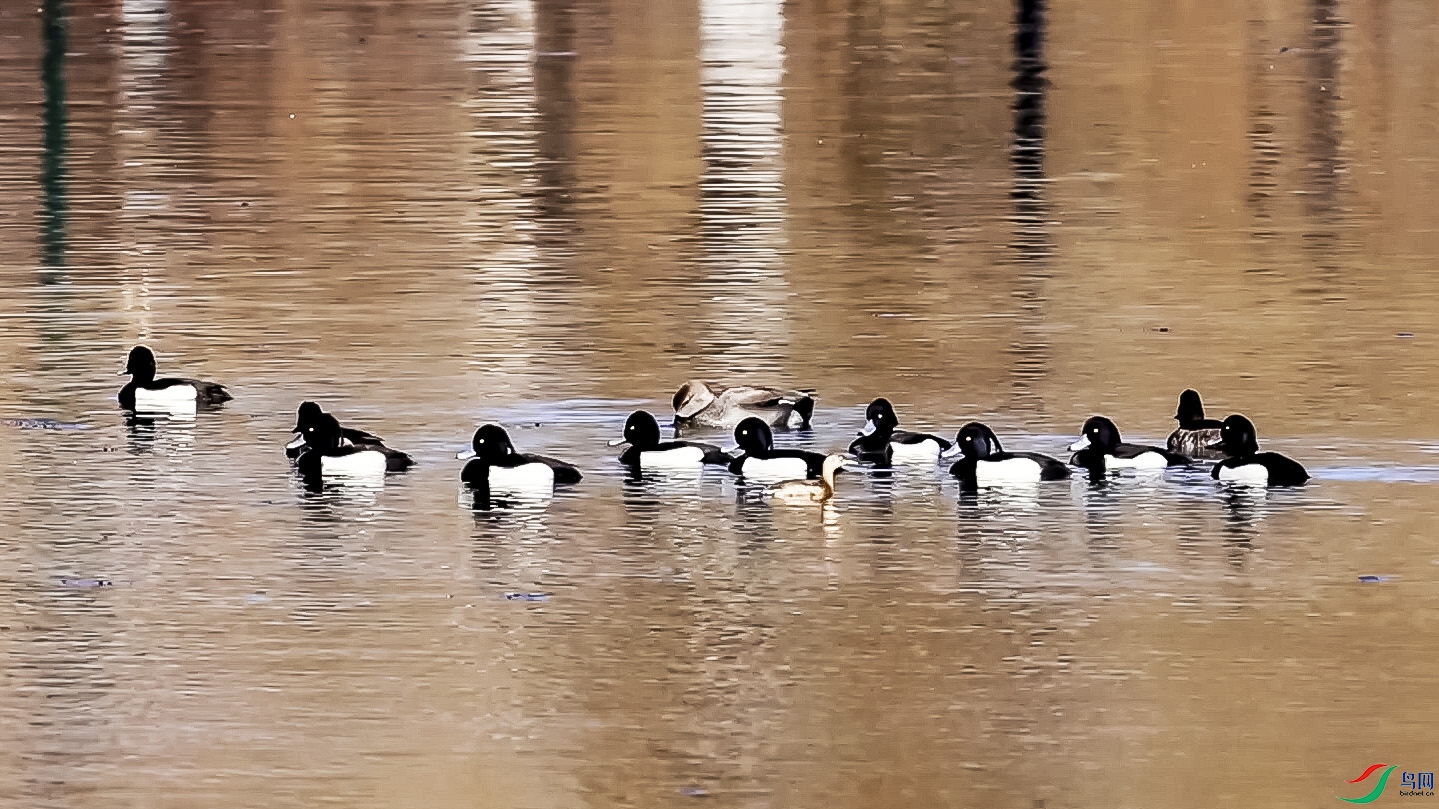 ���� 16.00_00_09_18.Still021����.jpg