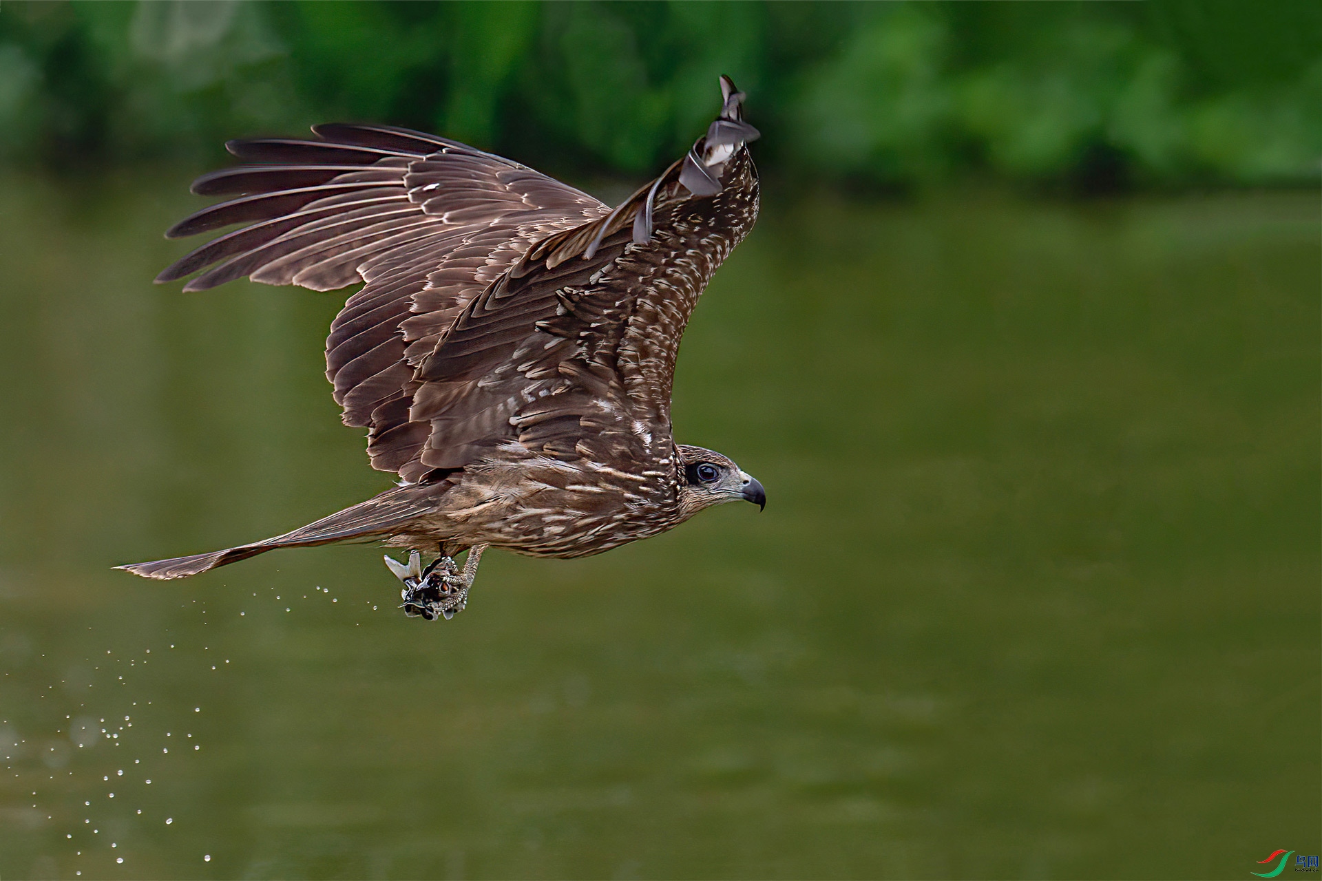 DSC_6138.jpg