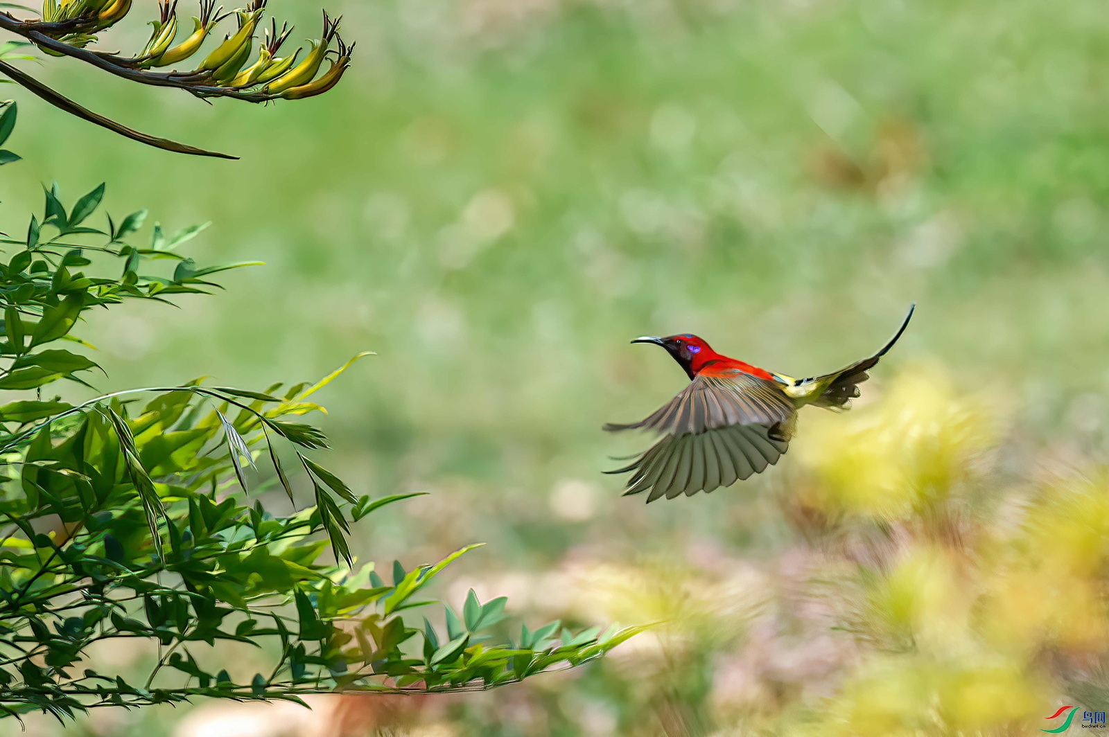 _DSC0970-.jpg