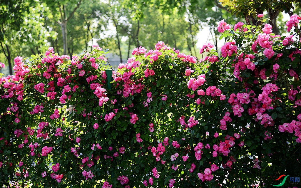 808 (35)_����.jpg