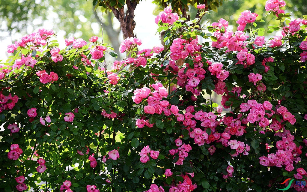 808 (36)_����.jpg